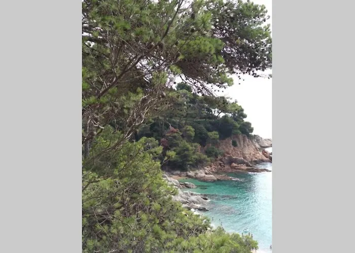 Miramar , Tossa De Mar, Con Piscina *